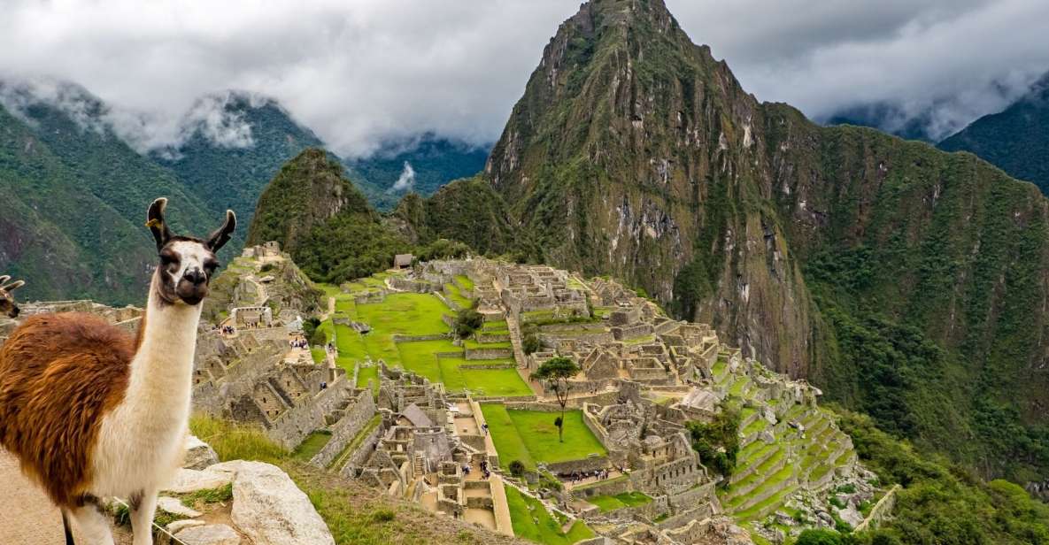 Refresca tu perspectiva del mundo: Un viaje al valle de Ica en Perú, donde el misticismo se encuentra con la historia