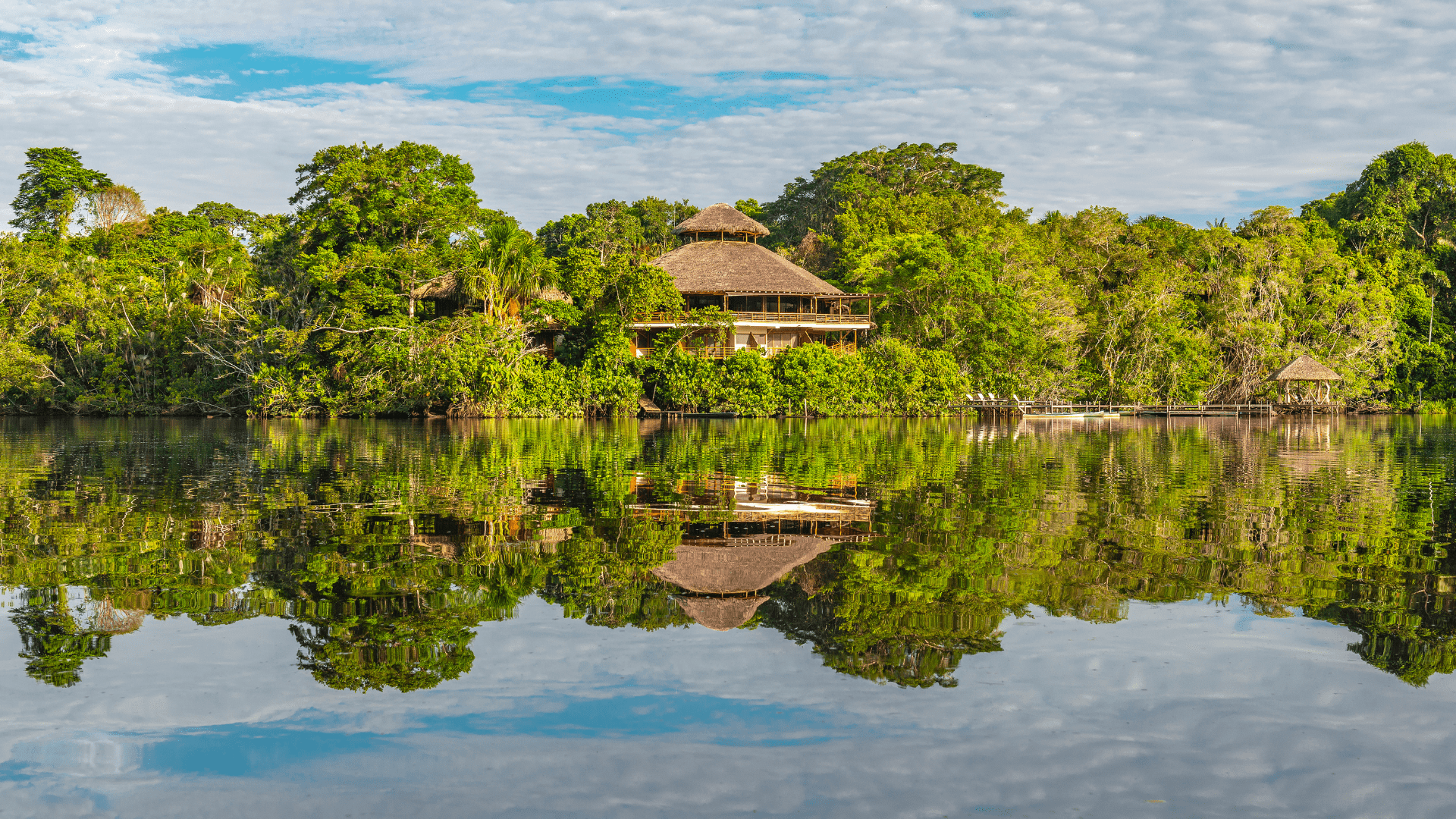 Inmersión en la Belleza: Eco Tour a la Amazonia, Brasil